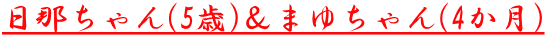 ߂(5)܂䂿(4)